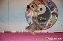 VBS_4606 - Festival dell'Oriente 2022